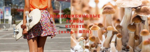 гашиш Арсеньев