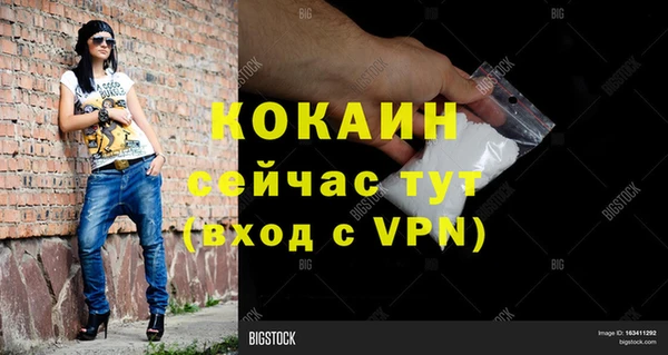 Альфа ПВП Аркадак