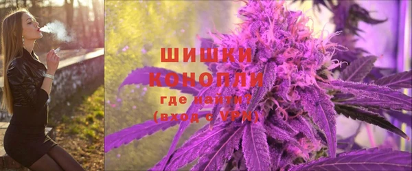 Альфа ПВП Аркадак