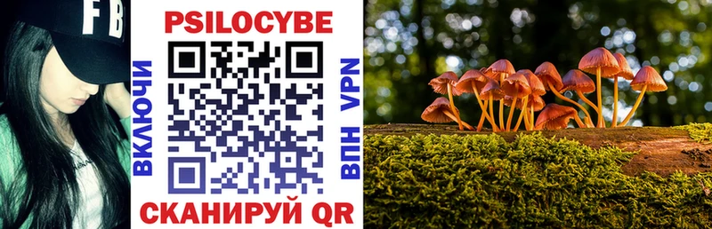 Галлюциногенные грибы мицелий  Мариинский Посад 