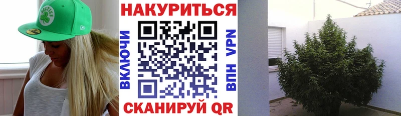 Бошки марихуана индика  где продают   Мариинский Посад 